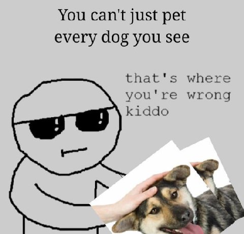 You can't just pet every dog you see that's where you're wrong kiddo