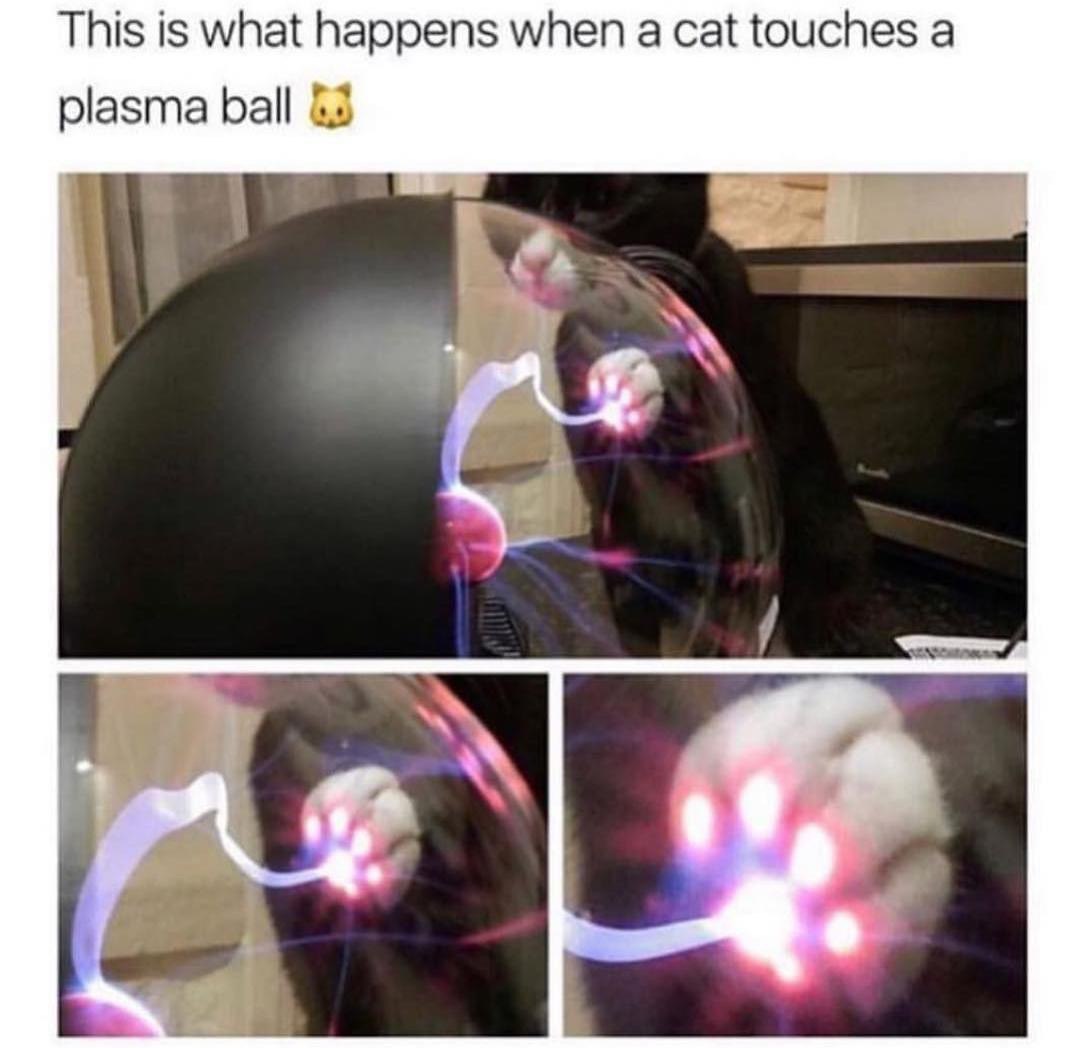 This is what happens when a cat touches a plasma ball &3