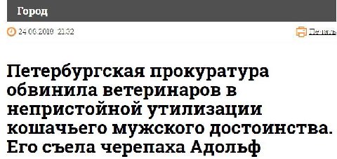 я готова закрыть интернет и не появляться в нем никогда, самое важное я уже знаю