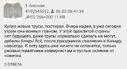 1 Аноним #192545512 06.03 08:41:39 JPEG 11 Купил новые трусы, постирал. Вчера надел, а уже сегодня утром они воняют говном. У этой проклятой страны нет будущего, даже трусы нормально сделать не могут,