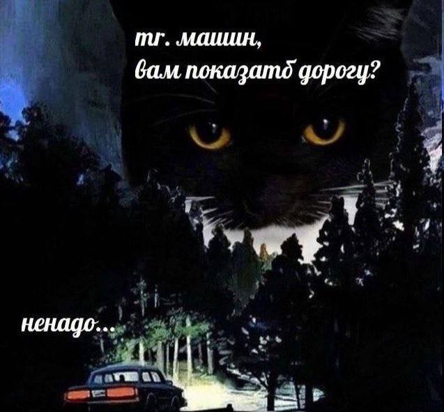 машин, Gam дорогу? ненадо...