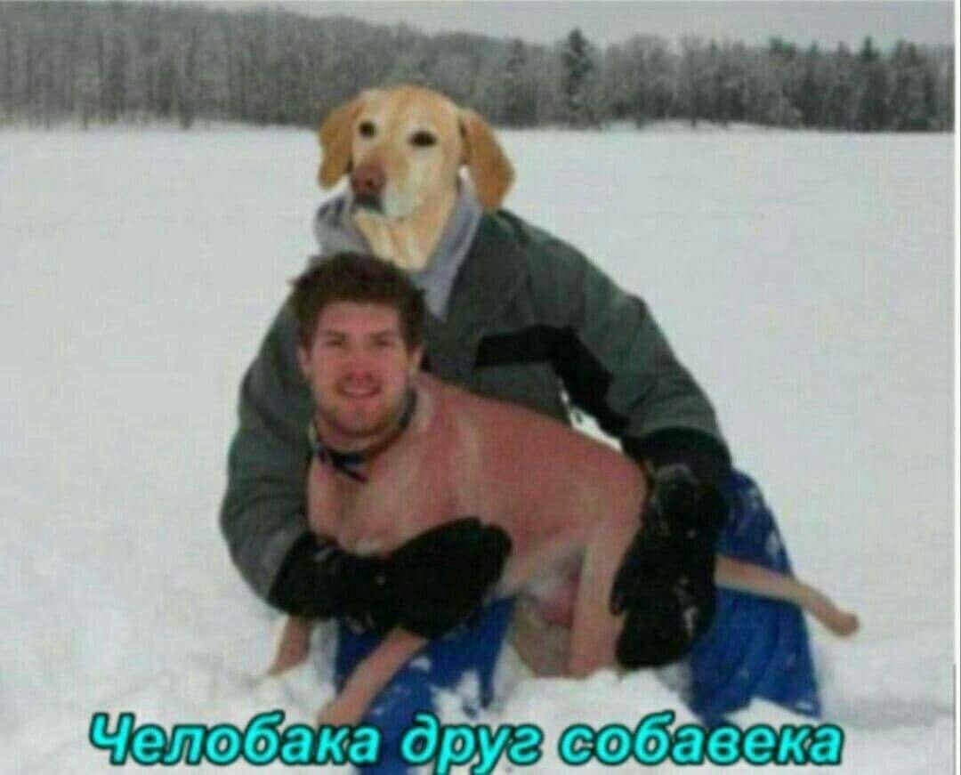 4 и