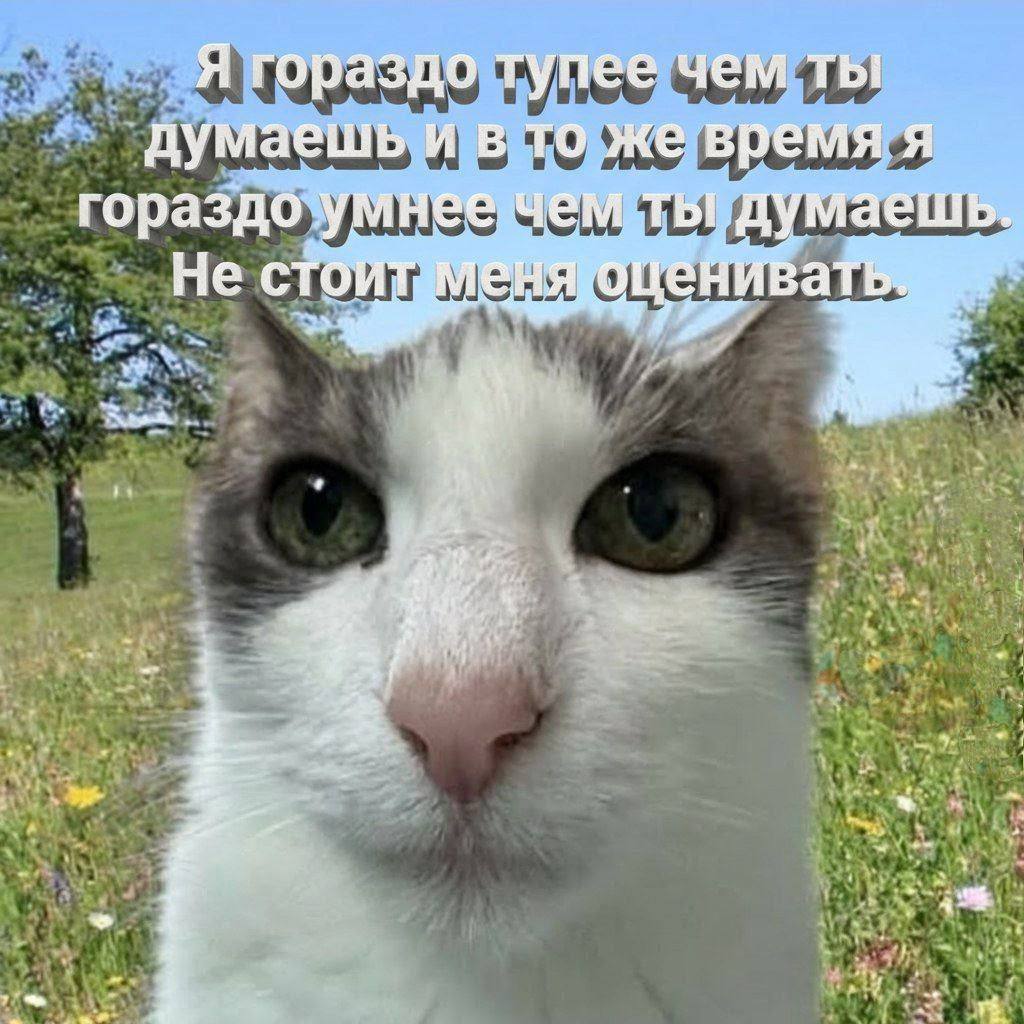Я гораздо тупее чем ты думаешь и в то же время я гораздо
