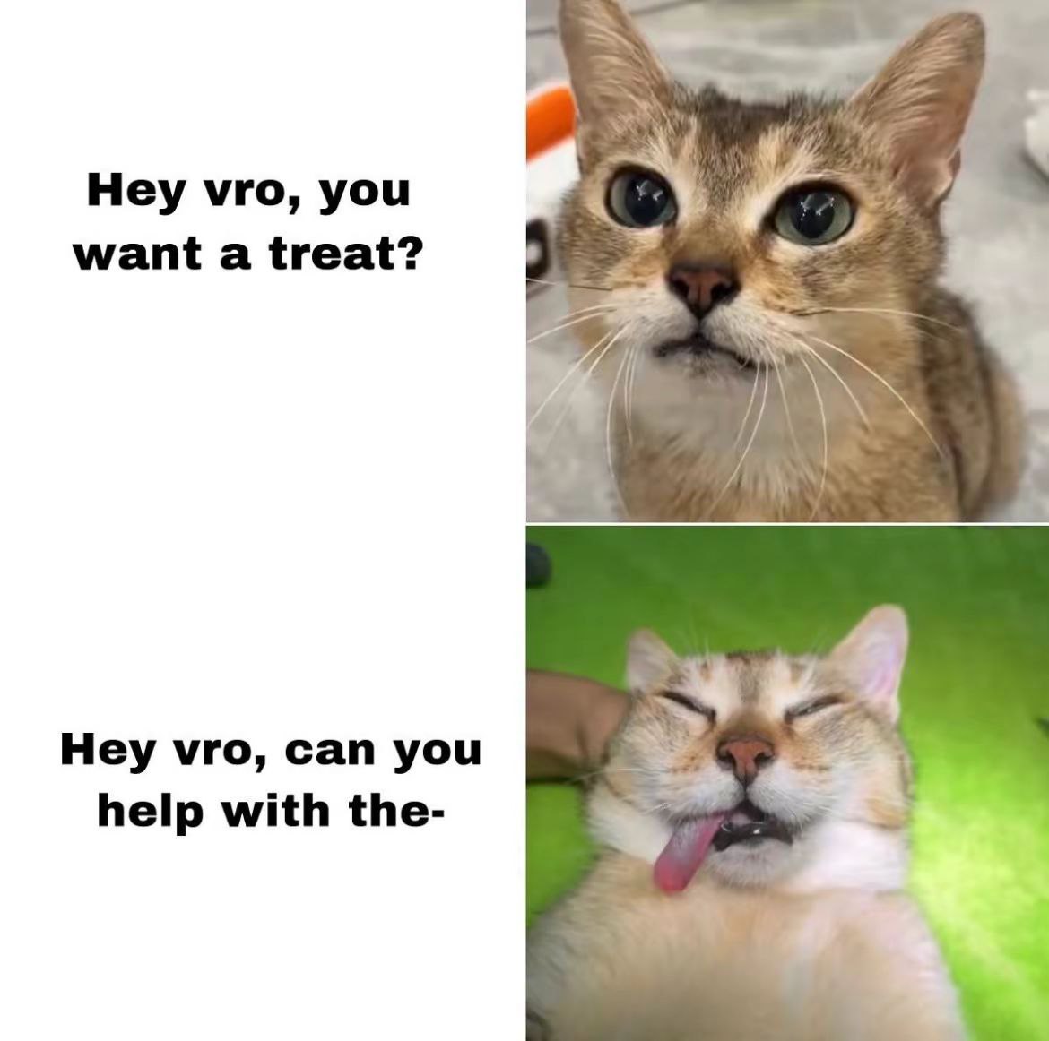 Hey уго, you want a treat? aS Hey уго, can you help with the-