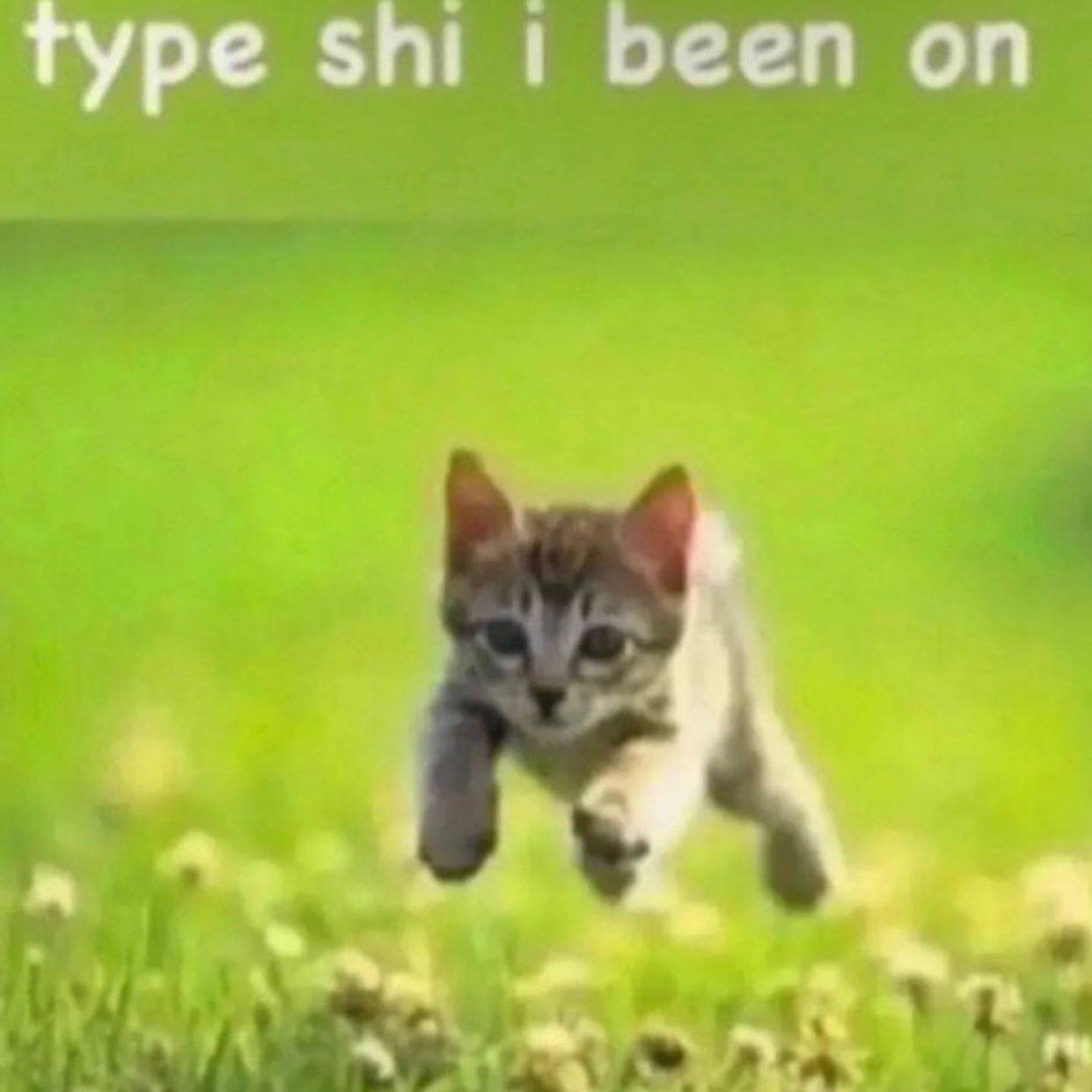 туре shi been on а