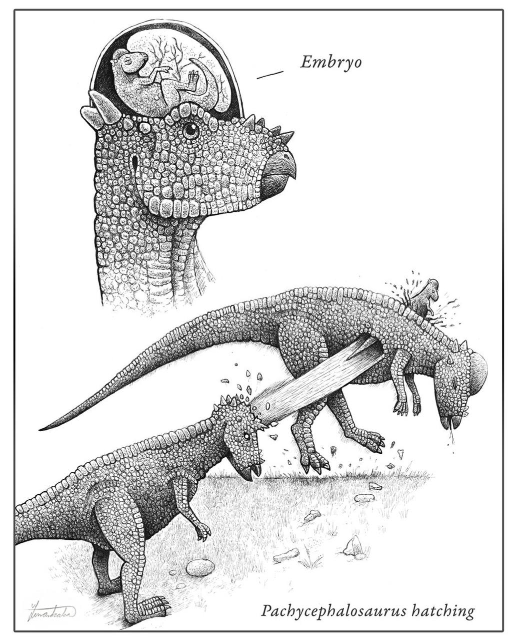 ryo 38 BOR Rots a? Lip 022. ‘9 22 2 chycep hal osaurus atching
