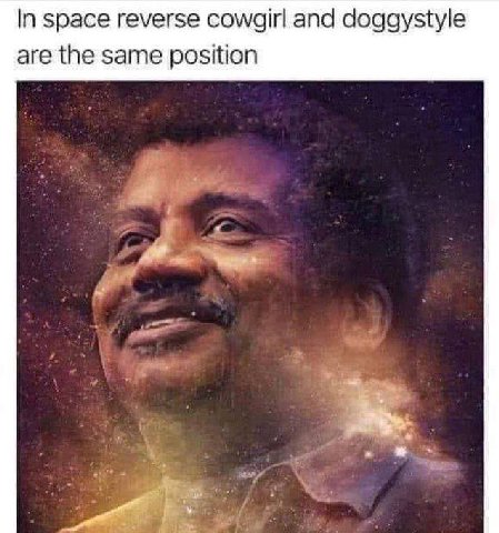In space reverse cowgirl and doggystyle are the same position