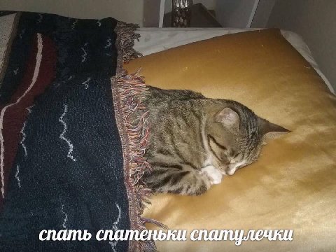 a спать