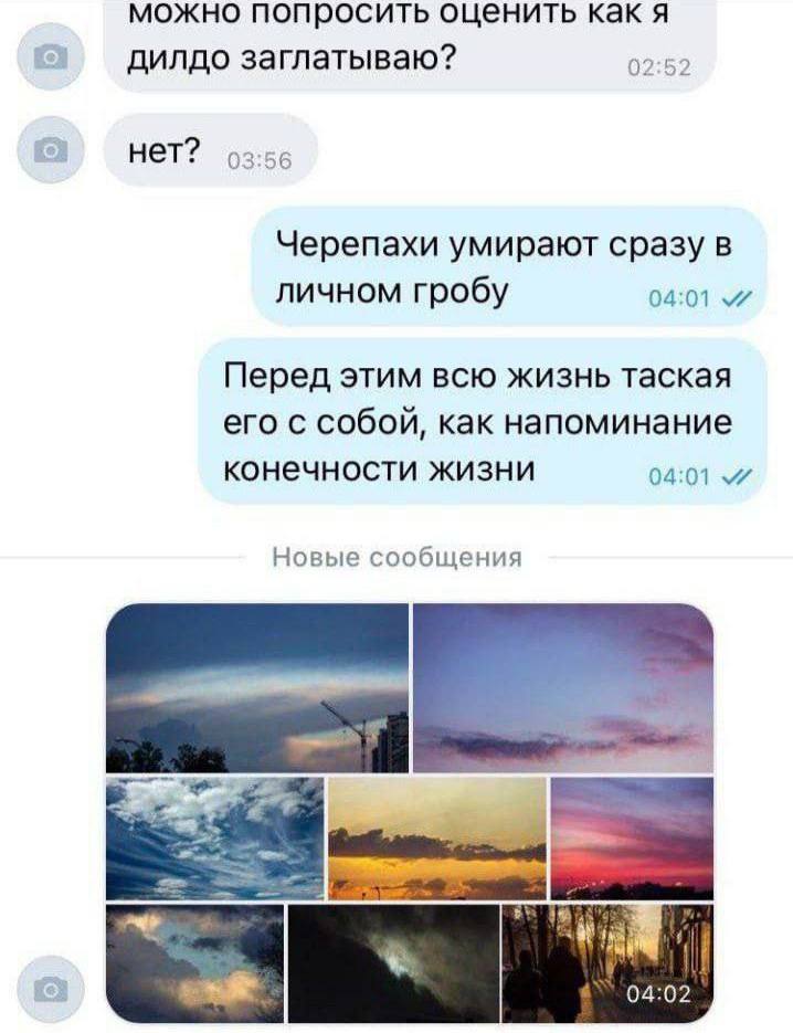 можно попросить оценить как я дилдо заглатываю? 02:52 нет? 03:56 Черепахи умирают сразу в личном гробу 04:01 Перед этим всю жизнь таская его с собой, как напоминание конечности жизни 04:01 Новые сообщ