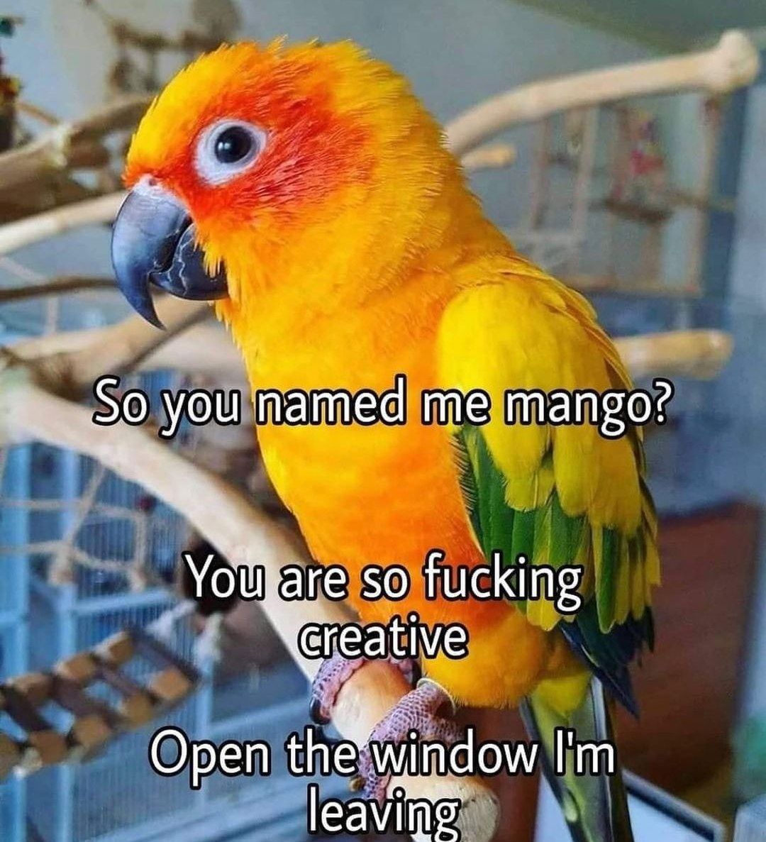 90 you named mango? Уощфаге so fucking Ореп leaving