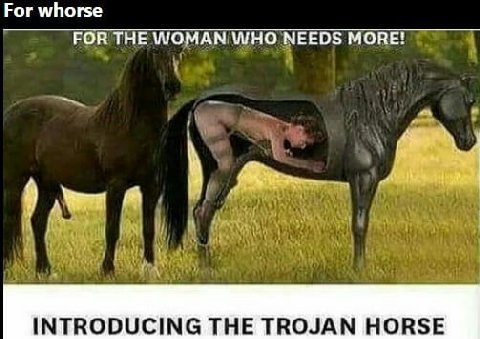 Рог whorse FOR THE WOMAN WHO NEEDS MORE! INTRODUCING THE TROJAN HORSE