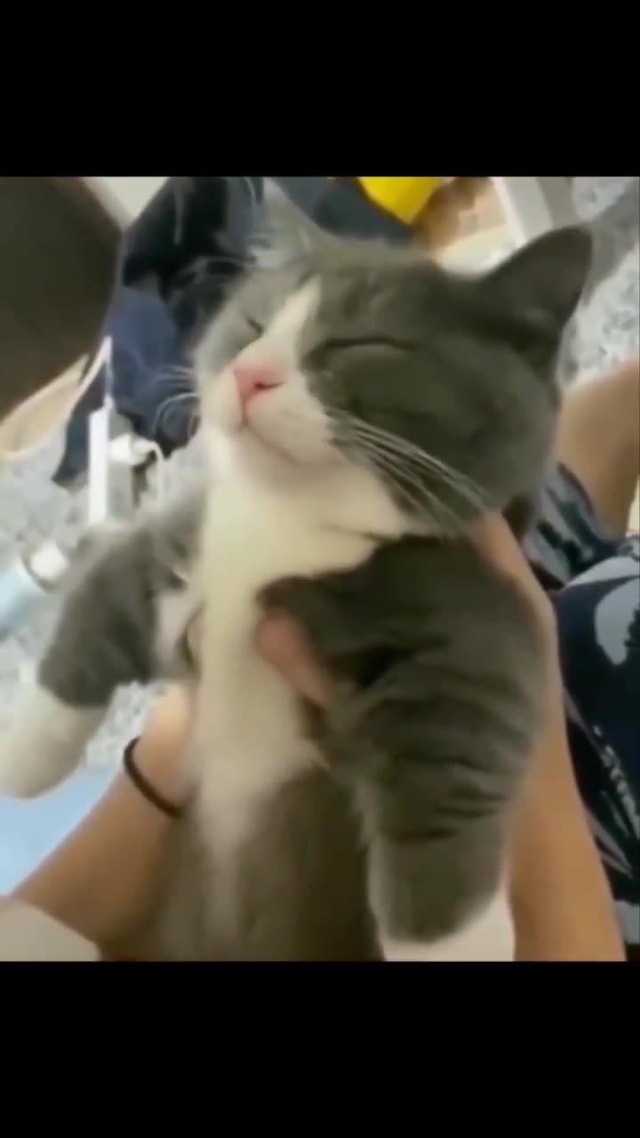 У 4