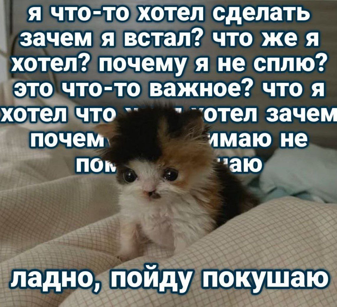 я что-то хотел сделать зачем я встал? что жея хотел? почему я не сплю? это что-то важное? что я хотел что ‘отел зачем почем лмаю He non заю ладно, поиду покушаю
