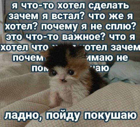 я что-то хотел сделать зачем я встал? что жея хотел? почему я не сплю? это что-то важное? что я хотел что ‘отел зачем почем лмаю He non заю ладно, поиду покушаю