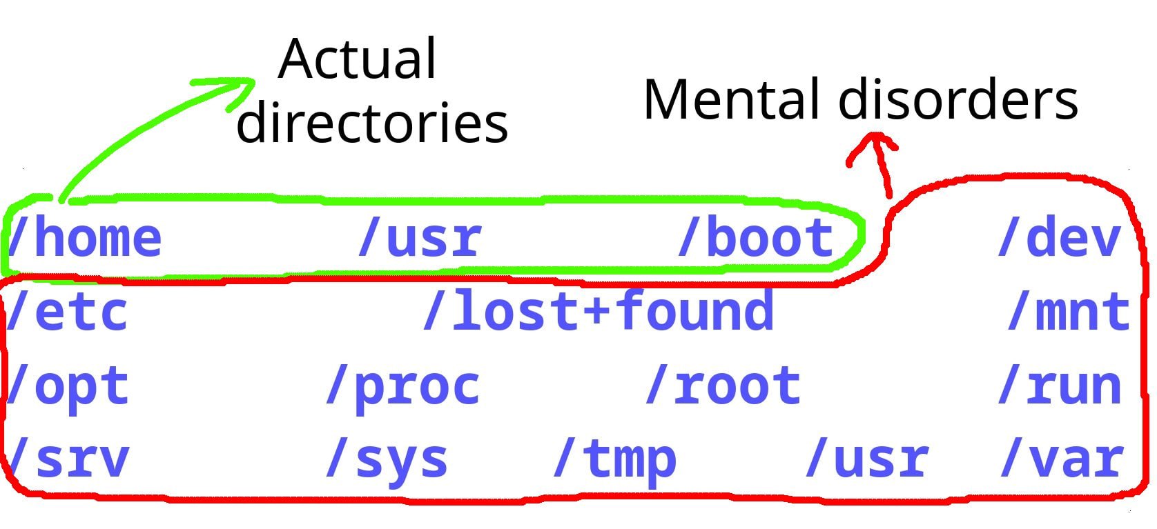 Actual Mental disorders directories /boot, /dev /lost+tounc /mnt opt /proc /root /run /sys /tmp /usr /var