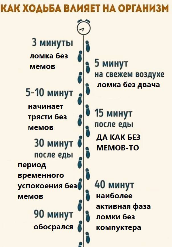 КАК ХОДЬБА ВЛИЯЕТ НА ОРГАНИЗМ 3 минуты ломка без 8 5 мемов 2 минут 8 0 на свежем воздухе ломка без двача 5-10 минут начинает 15 трясти без минут 0 после еды ДА КАК БЕЗ 30 минут 8]. мемов-то после еды 