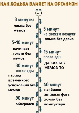 КАК ХОДЬБА ВЛИЯЕТ НА ОРГАНИЗМ 3 минуты ломка без 8 5 мемов 2 минут 8 0 на свежем воздухе ломка без двача 5-10 минут начинает 15 трясти без минут 0 после еды ДА КАК БЕЗ 30 минут 8]. мемов-то после еды 