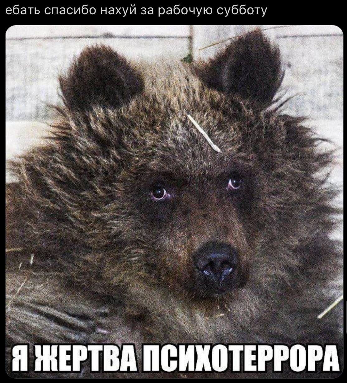 ебать спасибо нахуй за рабочую субботу 4 Я МЕРТВА ПСИХОТЕРРОРА