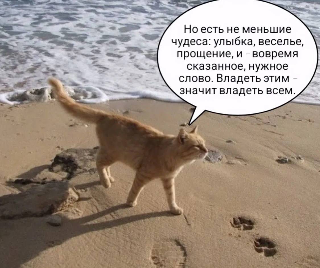 А Но есть не меньшие чудеса: улыбка, веселье, прощение, и вовремя сказанное, нужное слово. Владеть этим значит владеть всем.