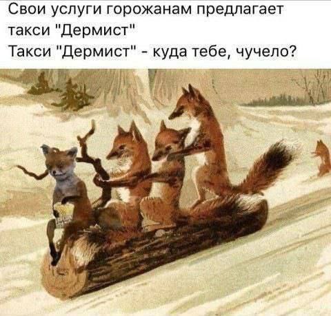 Свои услуги горожанам предлагает такси "Дермист" Такси "Дермист" куда тебе, чучело? 1