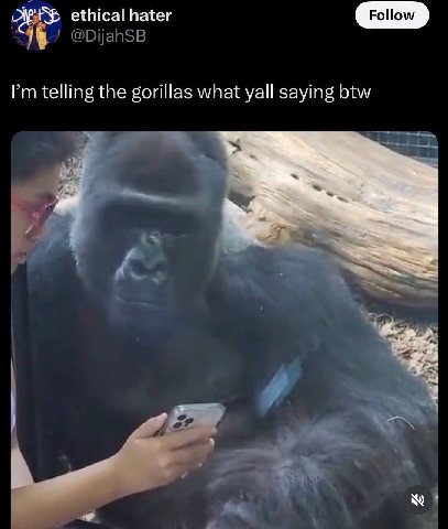 ethical hater telling the gorillas what yall saying btw A