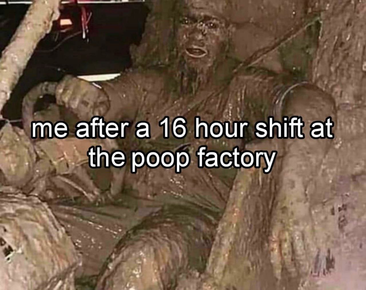me after a 16 hour shift at the poop factory