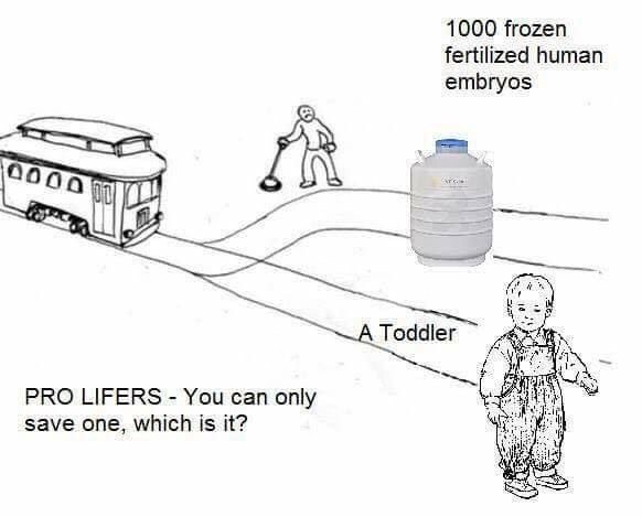1000 frozen fertilized human embryos 90а PRO LIFERS You can only save one, which is it?