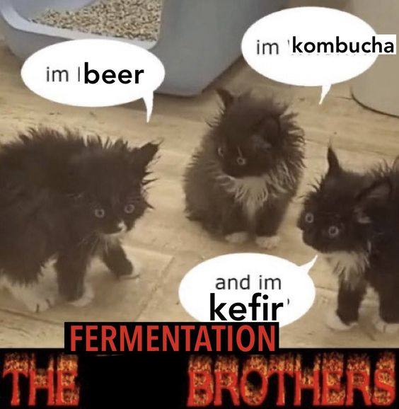 and