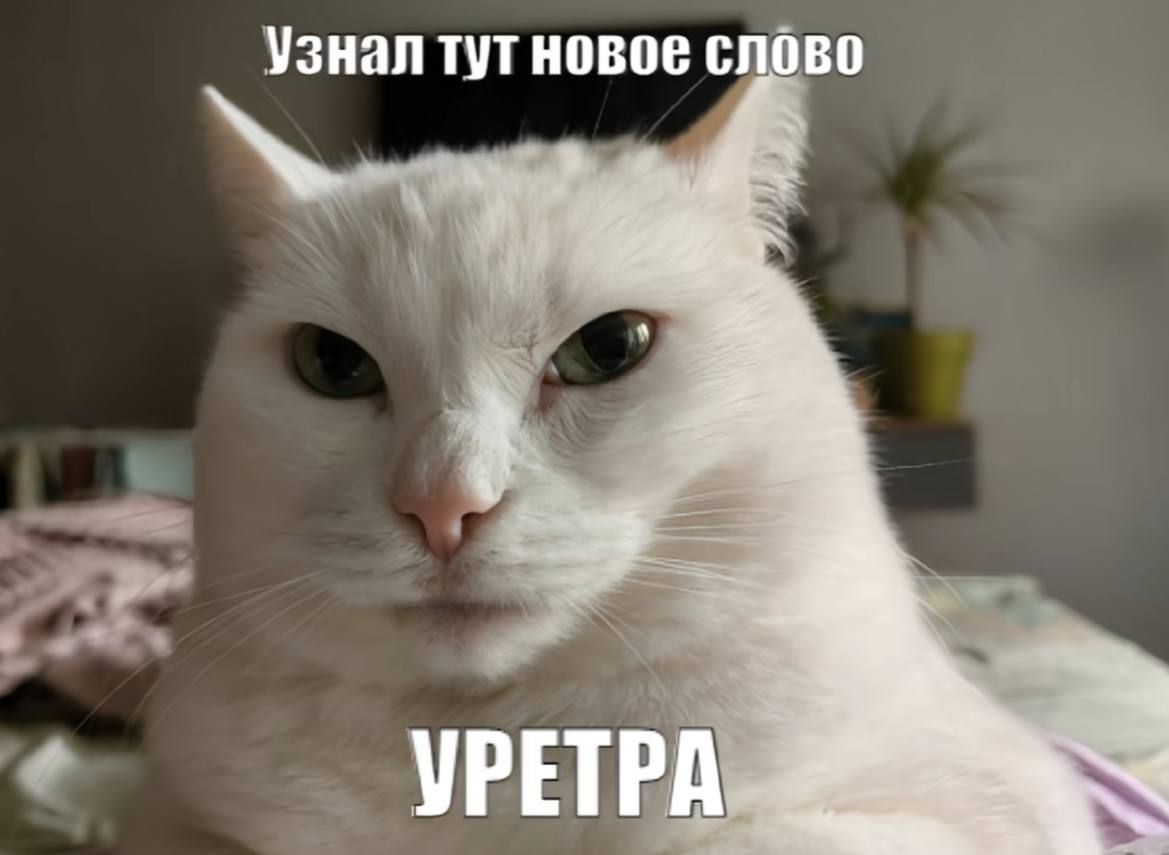 Узнал тут новое слово УРЕТРА