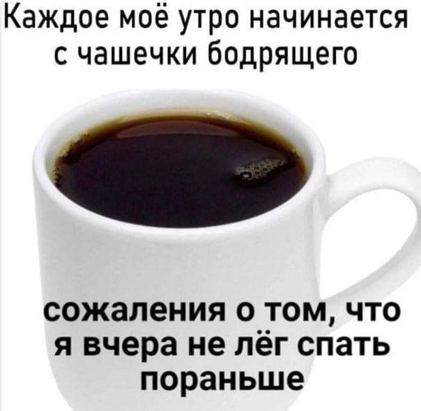 Каждое мое утро начинается с чашечки бодрящего сожаления о том, что я вчера не лег спать пораньше