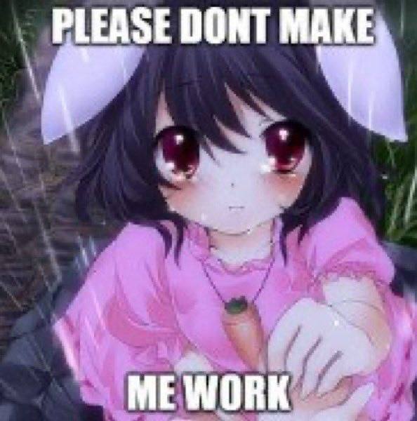 PLEASE DONT ME WORK