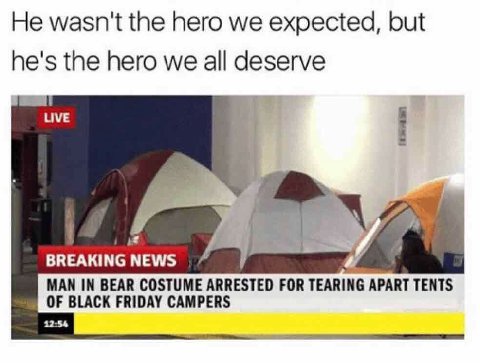 He wasn't the hero we expected, but he's the hero we all deserve LIVE BREAKING NEWS OF BLACK FRIDAY CAMPERS MAN IN BEAR COSTUME ARRESTED FOR TEARING APART TENTS 12:54