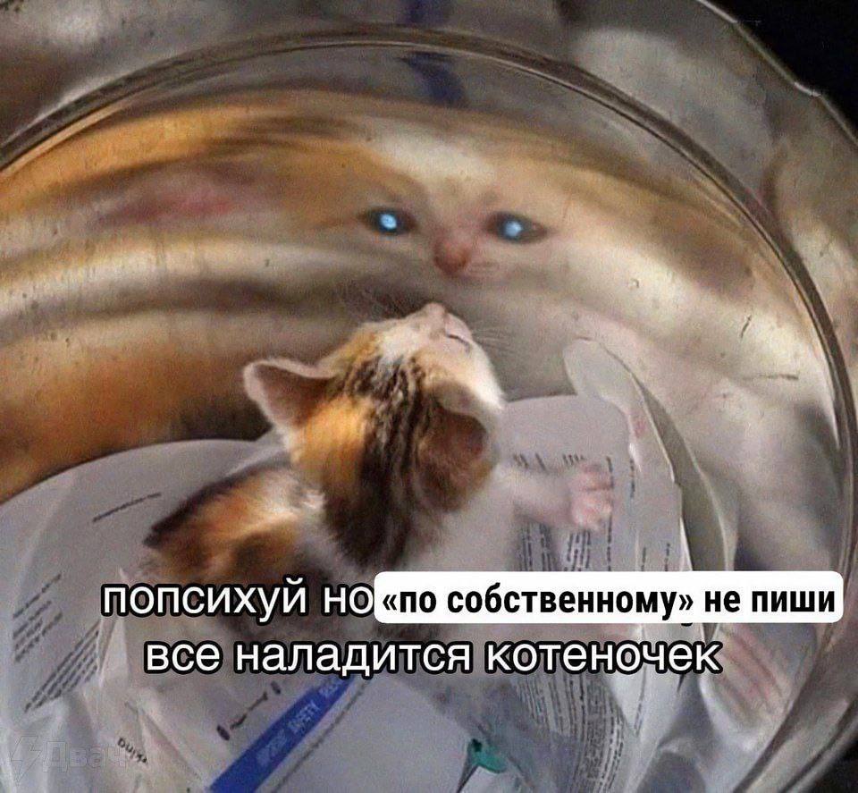 попсихуй ной; собственному» не пиши все наладится