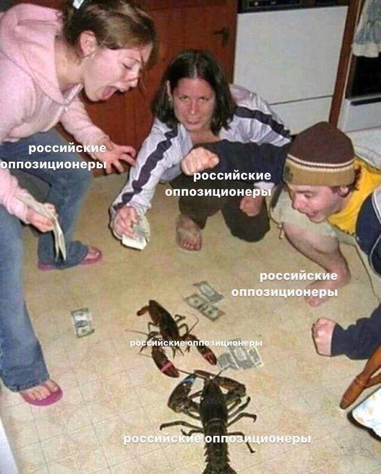 a a российские оппозиционеры российские оппозиционеры 1. российские оппозиционеры 7