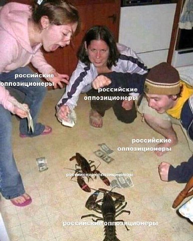 a a российские оппозиционеры российские оппозиционеры 1. российские оппозиционеры 7