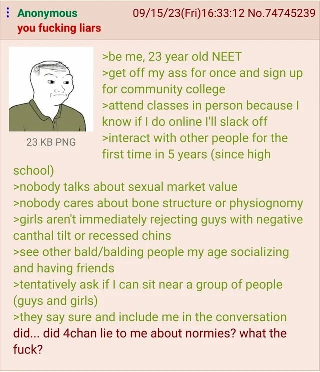 Anonymous 09/15/23(Fri)16:33:12 No.74745239 you fucking liars >be me, 23 year old NEET >get off my ass for once and sign up for community college >attend classes in person because know if online I'll 