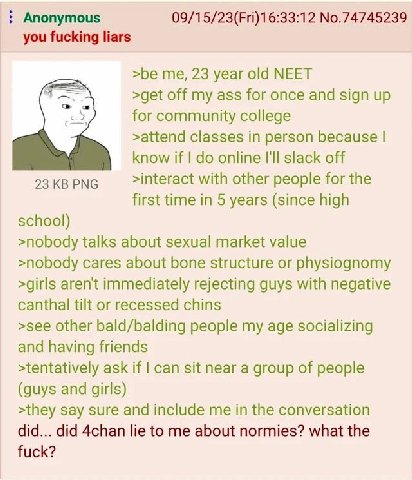 Anonymous 09/15/23(Fri)16:33:12 No.74745239 you fucking liars >be me, 23 year old NEET >get off my ass for once and sign up for community college >attend classes in person because know if online I'll 