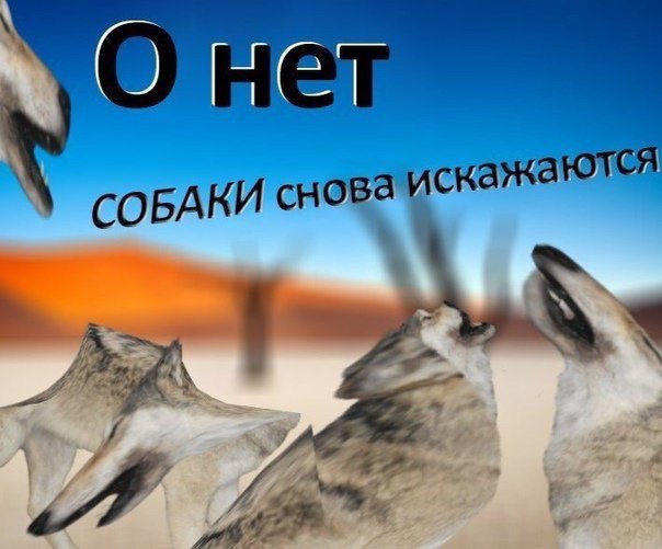СОБАКИ ‘снова OTCA