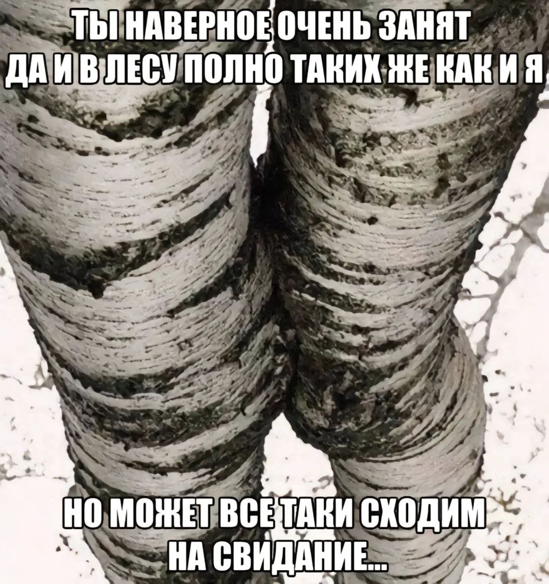 Неееееет, колония термитов, поселившаяся в трупе дерева, в этот раз я не поведусь