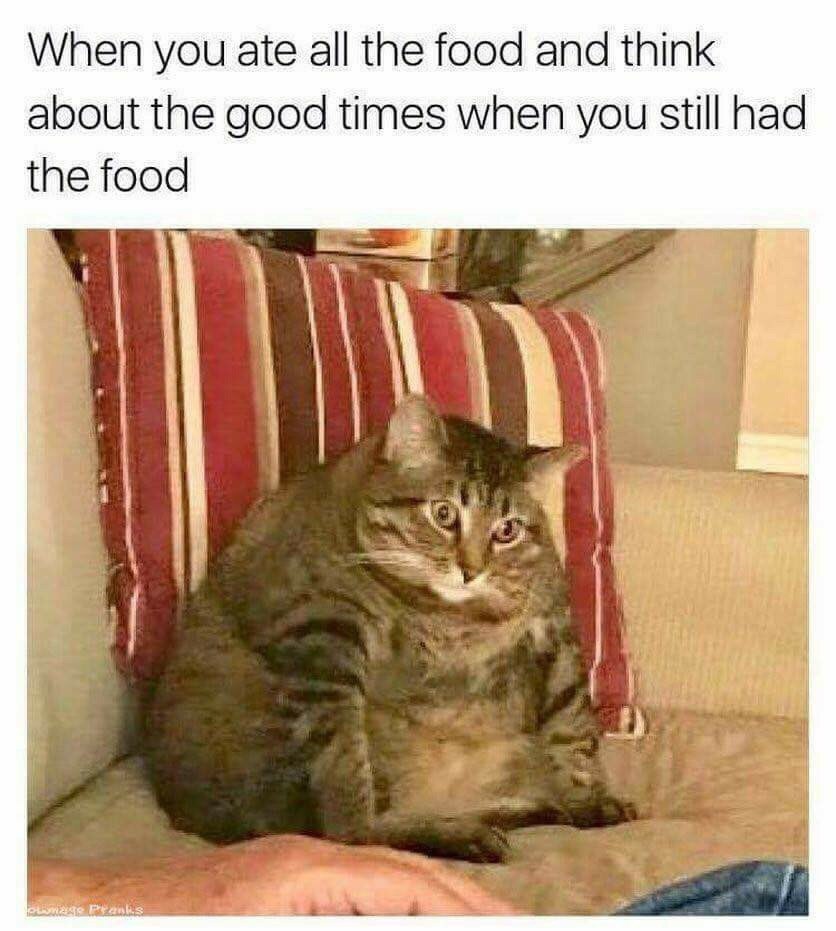 When you ate all the food and think about the good times when you still had the food 2 3