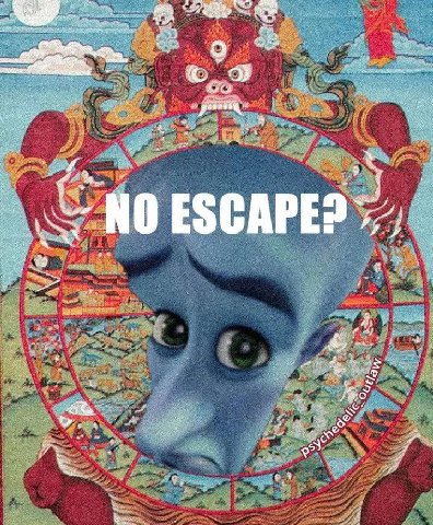 4 NO