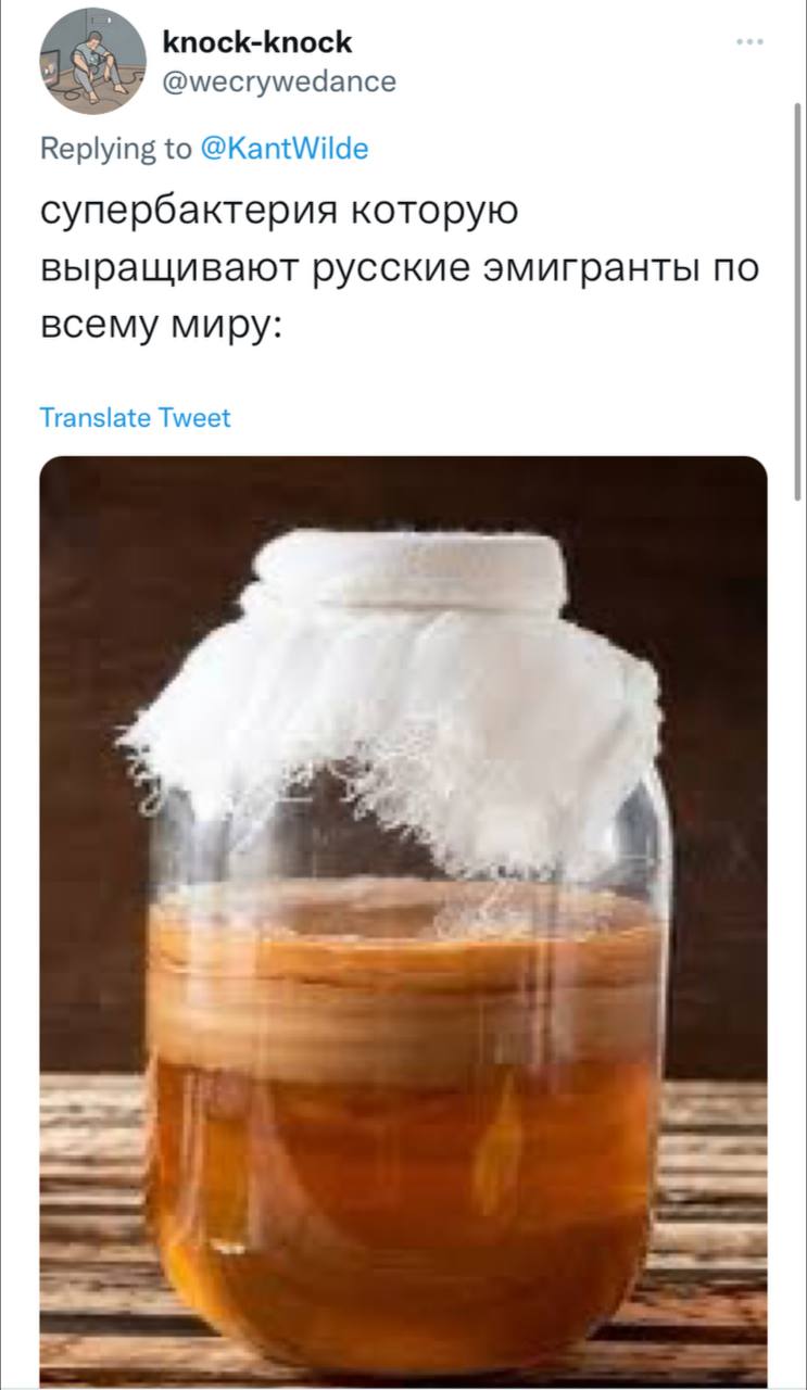 knock-knock @wecrywedance Replying to @KantWilde супербактерия которую выращивают русские эмигранты по всему миру: Translate Tweet a