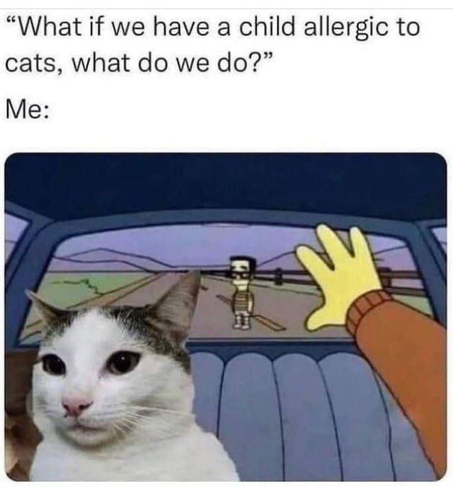 “What if we have a child allergic to cats, what we Me: