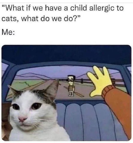 “What if we have a child allergic to cats, what we Me: