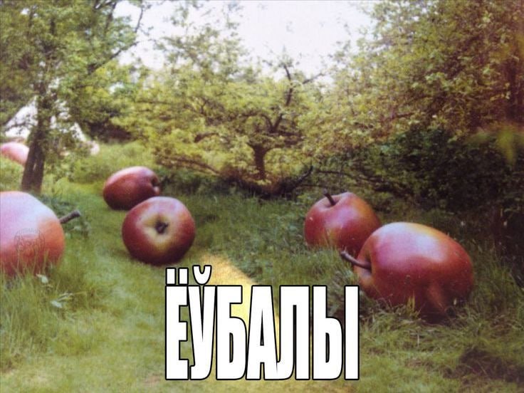 За. a 3