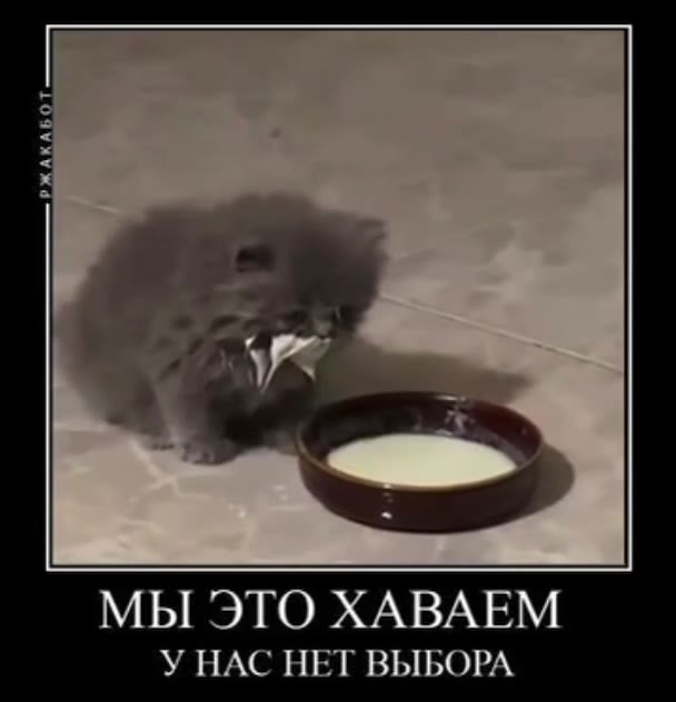 Мы это хаваем
У нас нет выбора