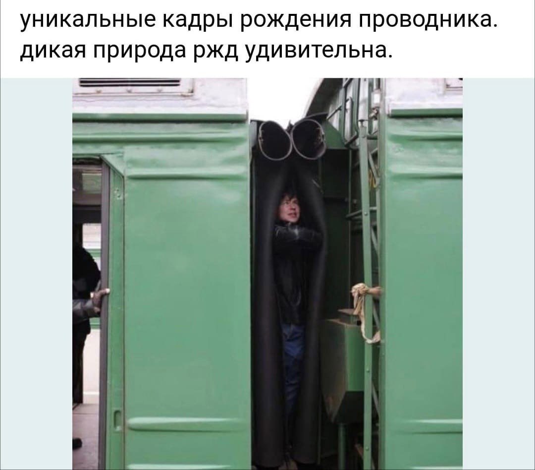 уникальные кадры рождения проводника дикая природа ржд удивительна. 4