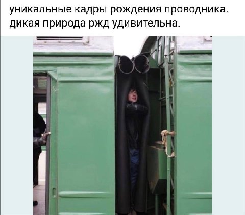 уникальные кадры рождения проводника дикая природа ржд удивительна. 4