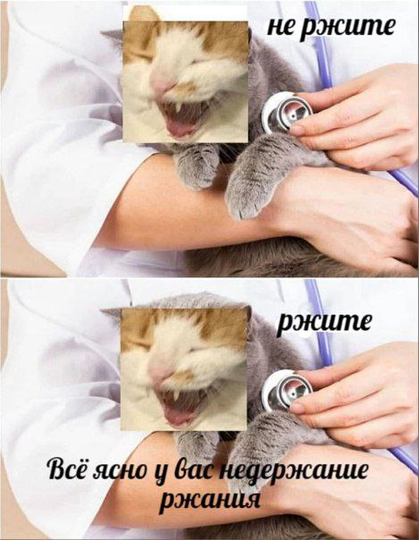 He Всё у ржа is сание