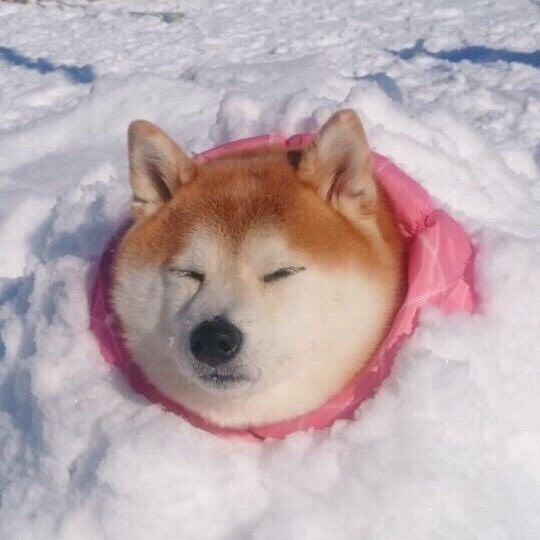 oy и. "-› \ < . | va |